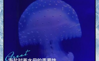 咸水湖能搞水产养殖吗？