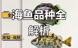 宁常见海水鱼养殖品种