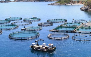 苏州水产养殖技术专业就业前景如何？