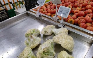 无锡水产蔬菜现在哪些最便宜？