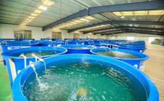 生态水产养殖多品种立体如何高效共生？