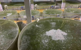 水产养殖污染如何有效监督治理？