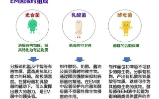 蔬菜em菌怎么用才正确有效？