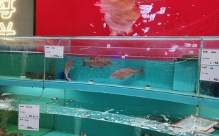 灌云好运水产养殖中心有何特色？