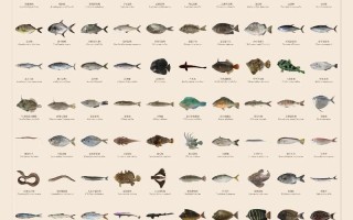 海南养殖哪些水产品？