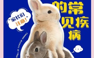 家兔白色痢疾怎么防治？