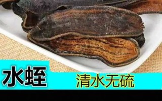 蚂蟥的价格是多少