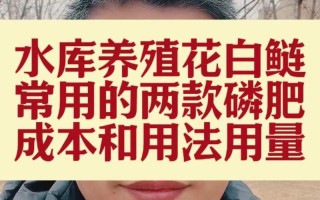 养白鲢用什么饲料