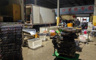 武汉水产鱼药批发市场在哪里？