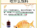 罗非鱼喂什么饲料