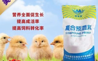 小鸡吃什么饲料长得快