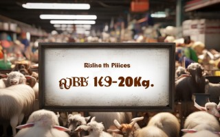 天津山羊价格是多少