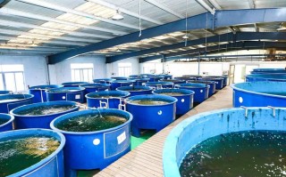 国内大型水产养殖设备如何高效升级？