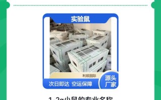 人工蛇饲料怎么配比才科学？