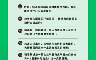 散养鸡饲料如何最节约喂养？