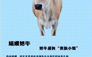 奶牛品种排名如何？