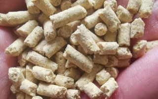 猪一般吃什么饲料