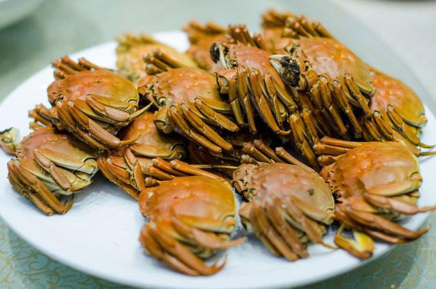 山西适合养殖什么螃蟹-第2张图片-宁夏农业信息网