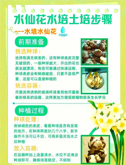 养殖小人仙用什么可以快速成长-第2张图片-宁夏农业信息网