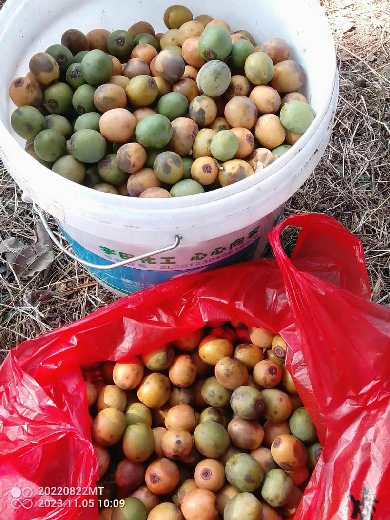 什么是无公害饲料-第3张图片-宁夏农业信息网