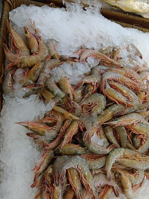 海虾的价格斤多少头-第3张图片-宁夏农业信息网