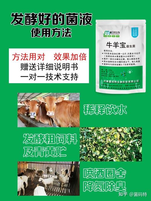 给牛喂什么饲料最好-第3张图片-宁夏农业信息网