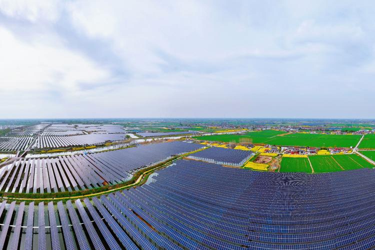 光伏电站可以养殖什么地方-第2张图片-宁夏农业信息网