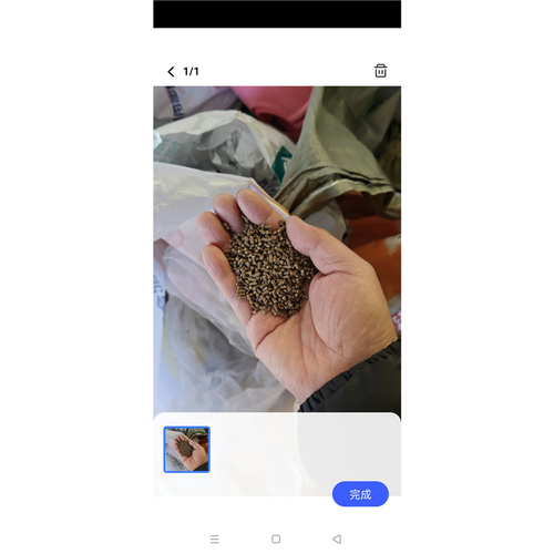 养殖鳊鱼吃什么饲料-第3张图片-宁夏农业信息网 养殖鳊鱼吃什么饲料-第3张图片-宁夏农业信息网