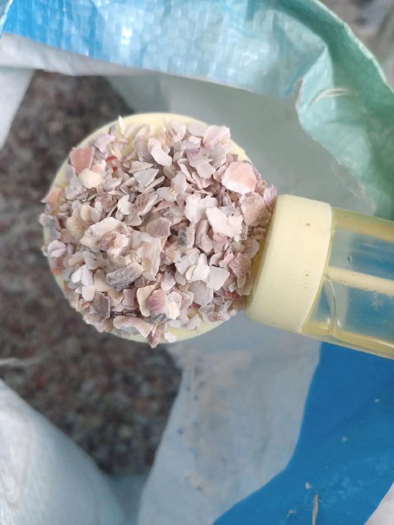 贝类吃什么饲料-第1张图片-宁夏农业信息网