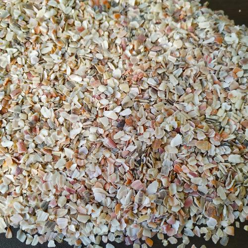 贝类吃什么饲料-第3张图片-宁夏农业信息网