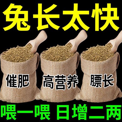 兔子养殖为什么饲料-第2张图片-宁夏农业信息网 兔子养殖为什么饲料-第2张图片-宁夏农业信息网