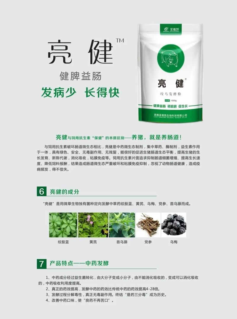 冬天养猪吃什么饲料-第1张图片-宁夏农业信息网