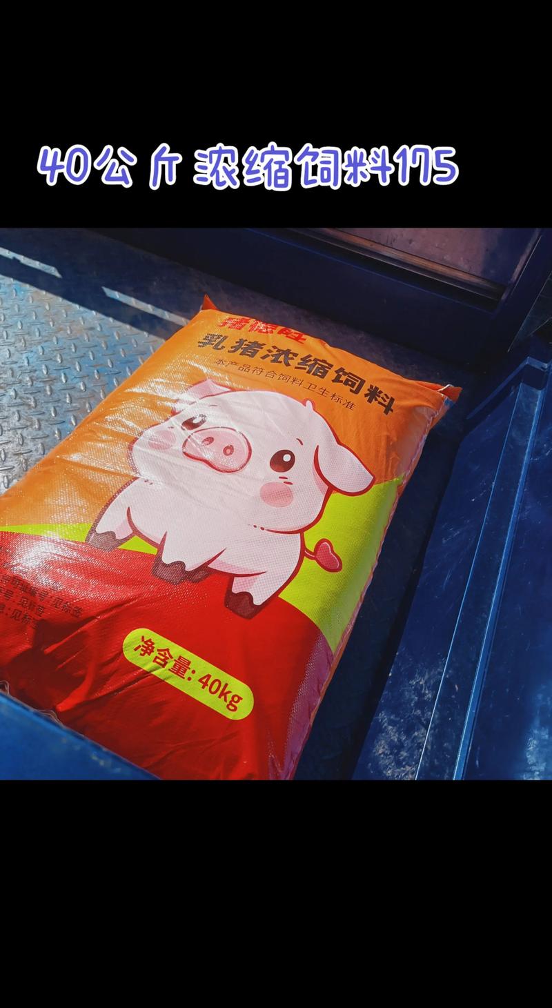 冬天养猪吃什么饲料-第3张图片-宁夏农业信息网