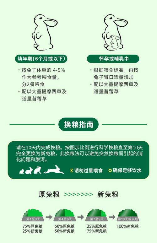 免苗吃什么饲料-第3张图片-宁夏农业信息网