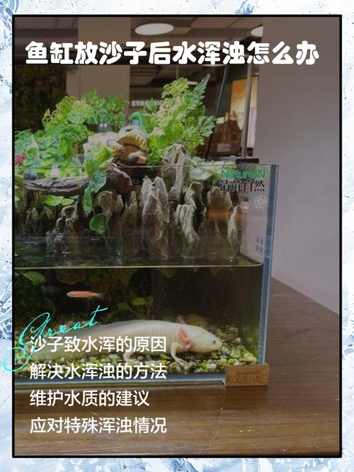 水产养殖池为什么放沙子-第1张图片-宁夏农业信息网