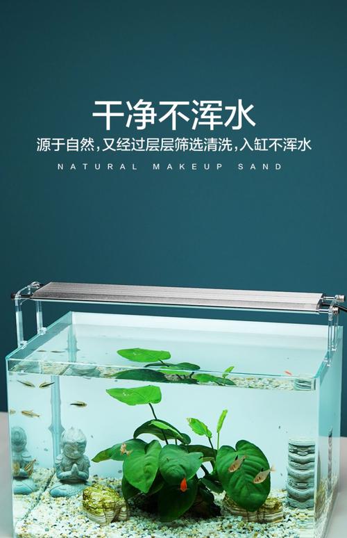 水产养殖池为什么放沙子-第2张图片-宁夏农业信息网