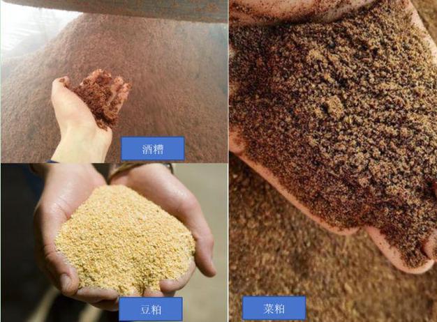 微储饲料需要什么用-第3张图片-宁夏农业信息网 微储饲料需要什么用-第3张图片-宁夏农业信息网