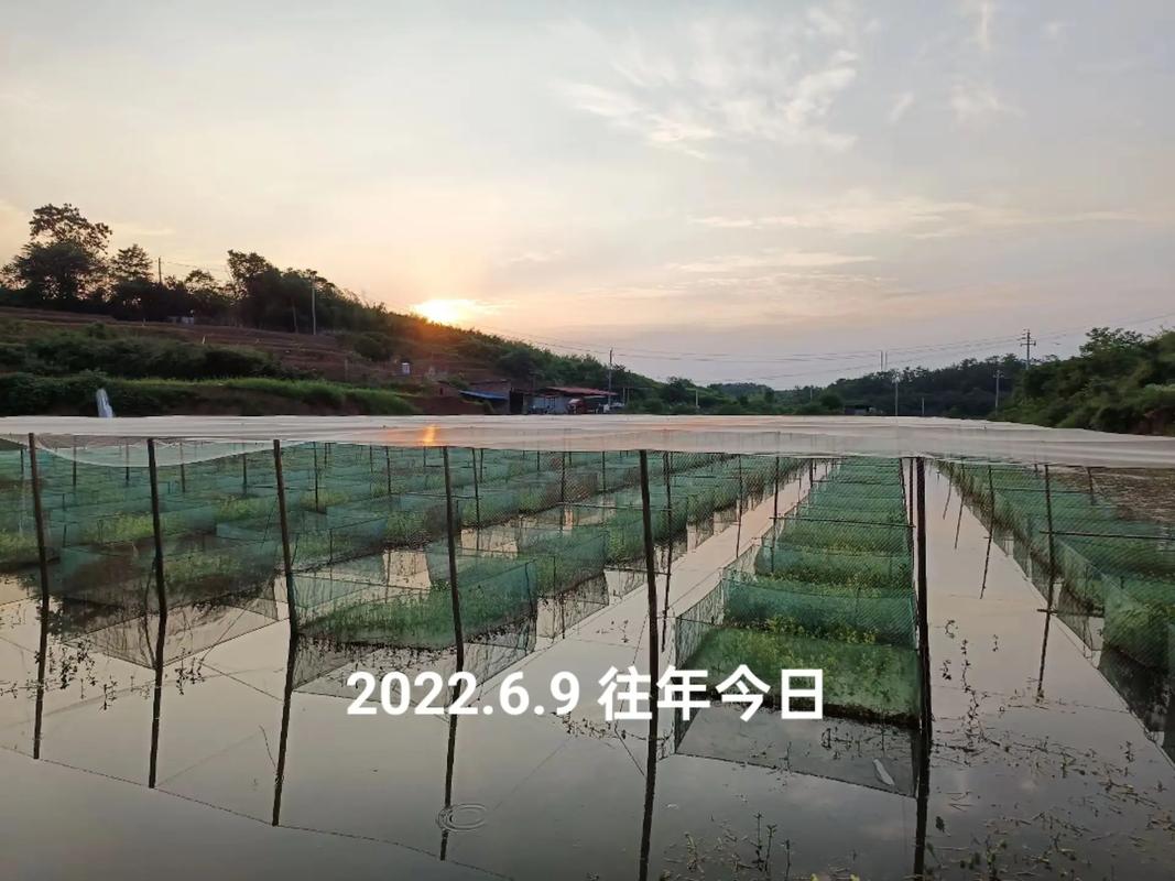 芜湖周边适合养殖什么水产-第3张图片-宁夏农业信息网