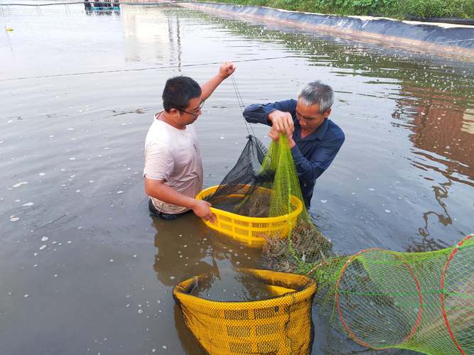 芜湖周边适合养殖什么水产-第1张图片-宁夏农业信息网