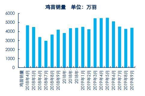 今天河北鸡雏价格多少-第3张图片-宁夏农业信息网