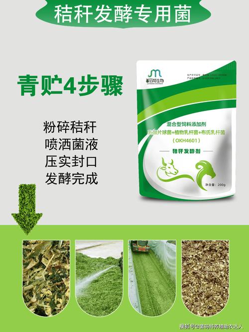 发酵饲料为什么要密封-第3张图片-宁夏农业信息网 发酵饲料为什么要密封-第3张图片-宁夏农业信息网