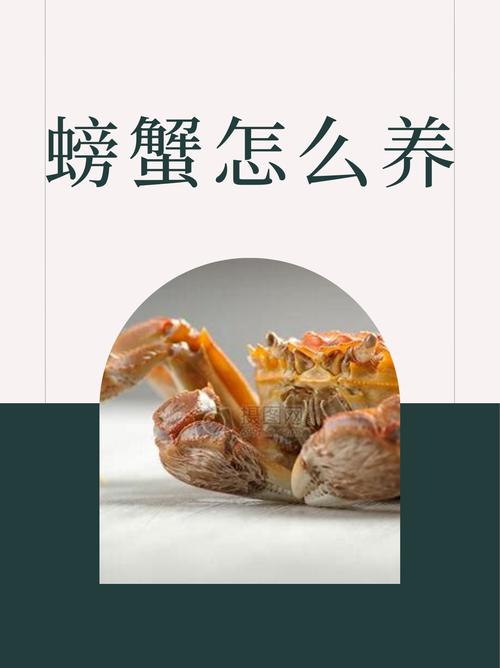 海蟹养殖需要什么条件-第1张图片-宁夏农业信息网