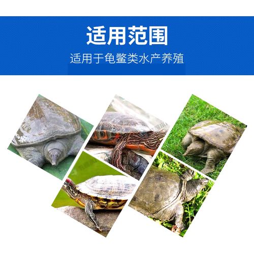 养殖甲鱼穿孔用什么药-第2张图片-宁夏农业信息网