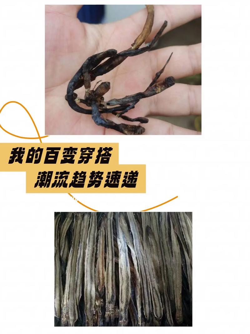 蚯蚓干现在价格是多少-第2张图片-宁夏农业信息网