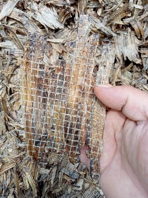 蚯蚓干现在价格是多少-第3张图片-宁夏农业信息网