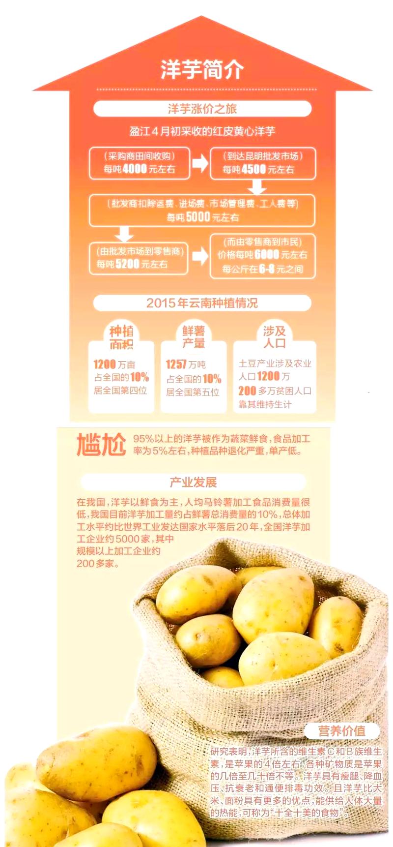 土豆的价格多少钱-第3张图片-宁夏农业信息网 土豆的价格多少钱-第3张图片-宁夏农业信息网