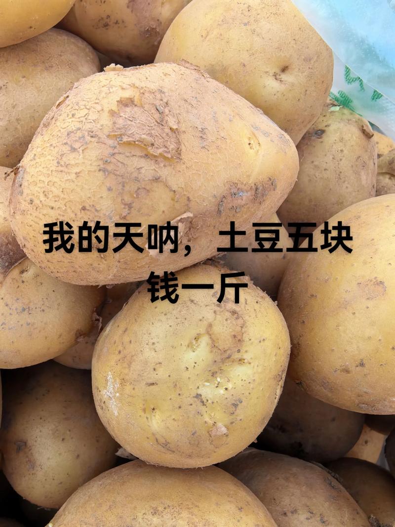 土豆的价格多少钱-第2张图片-宁夏农业信息网