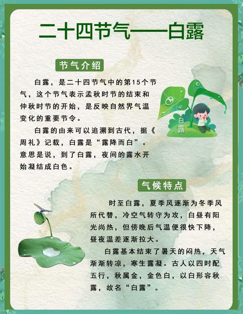 养殖上讲白露心是什么时间-第2张图片-宁夏农业信息网