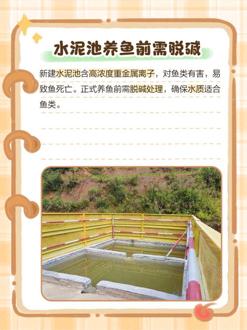 水泥池养殖什么淡水鱼最好-第2张图片-宁夏农业信息网