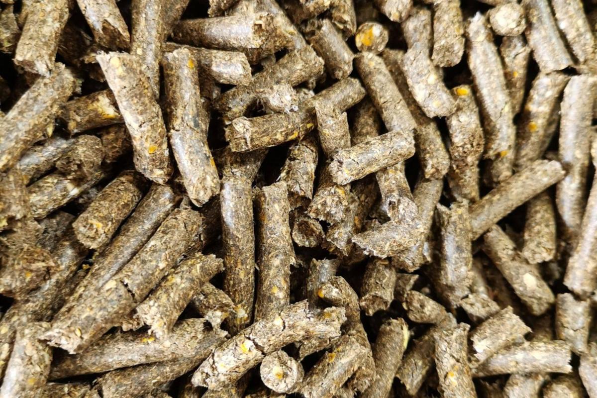 什么是微生物饲料-第1张图片-宁夏农业信息网